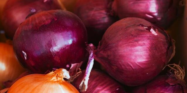 pexels-kindel-media-7456550 verschil rode en witte ui