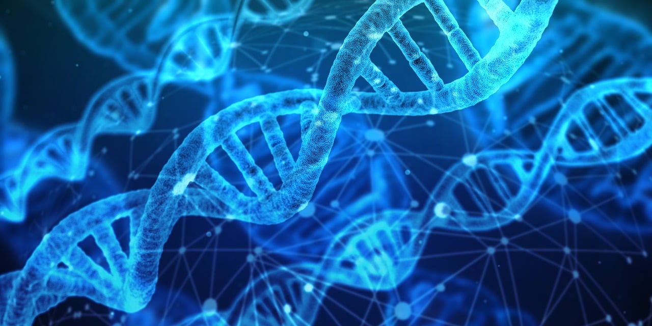 DNA vaderschapstest