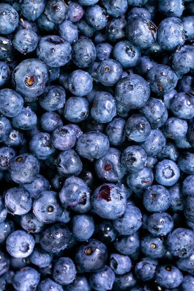 Het verschil tussen bosbes en blauwe bes alle verschillen uitgelegd