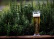bier