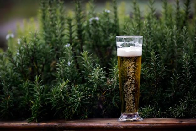 bier bier