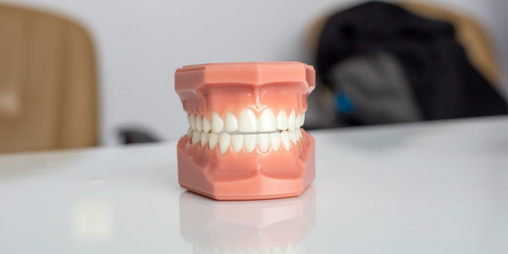 Gebitsmodel ter illustratie van melktanden en mondzorg bij kinderen Plastic gebitsmodel met melktanden op een witte tafel, gebruikt voor uitleg over kindergebit