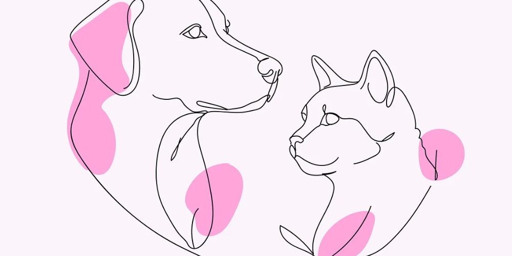 Minimalistische lijntekening van hond en kat met roze accenten