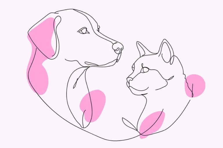 Minimalistische lijntekening van hond en kat met roze accenten